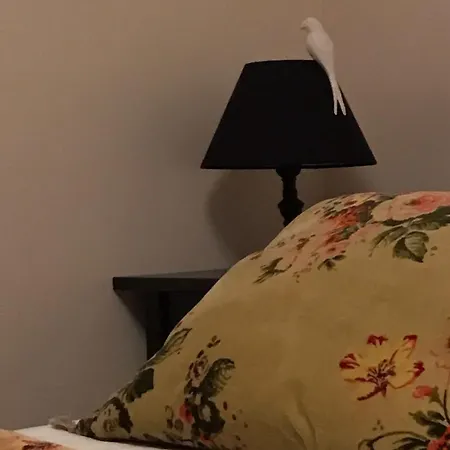 A Vol D'oiseau * Honfleur