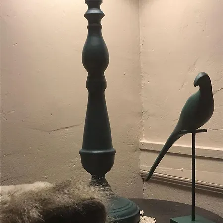 A Vol D'oiseau Pansiyon