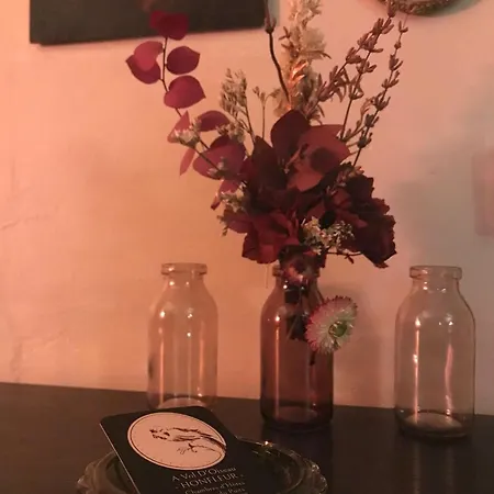 A Vol D'oiseau בית אירוח הונפלר