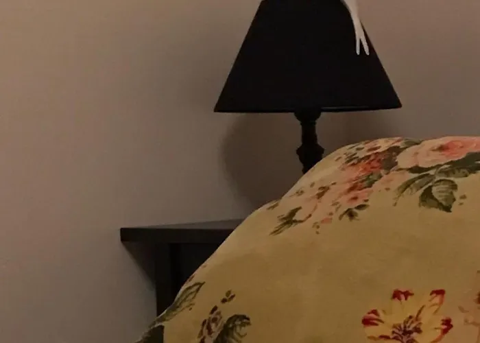 A Vol D'oiseau * הונפלר