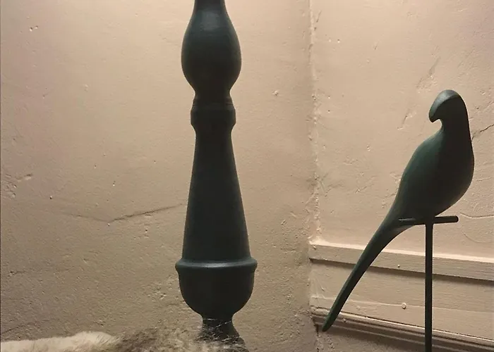 A Vol D'oiseau Pansiyon