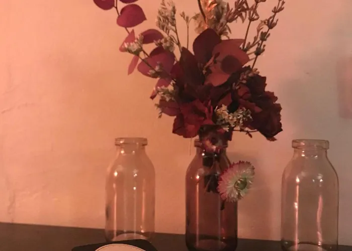 A Vol D'oiseau בית אירוח הונפלר